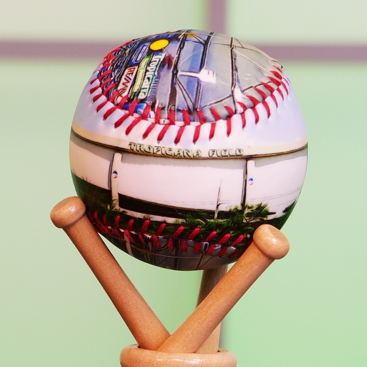 Tropicana Field Baseball - Tampa Bay