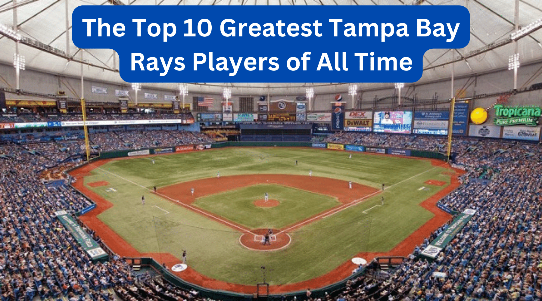 The Top 10 Greatest Tampa Bay Rays Players of All Time — Sport Relics
