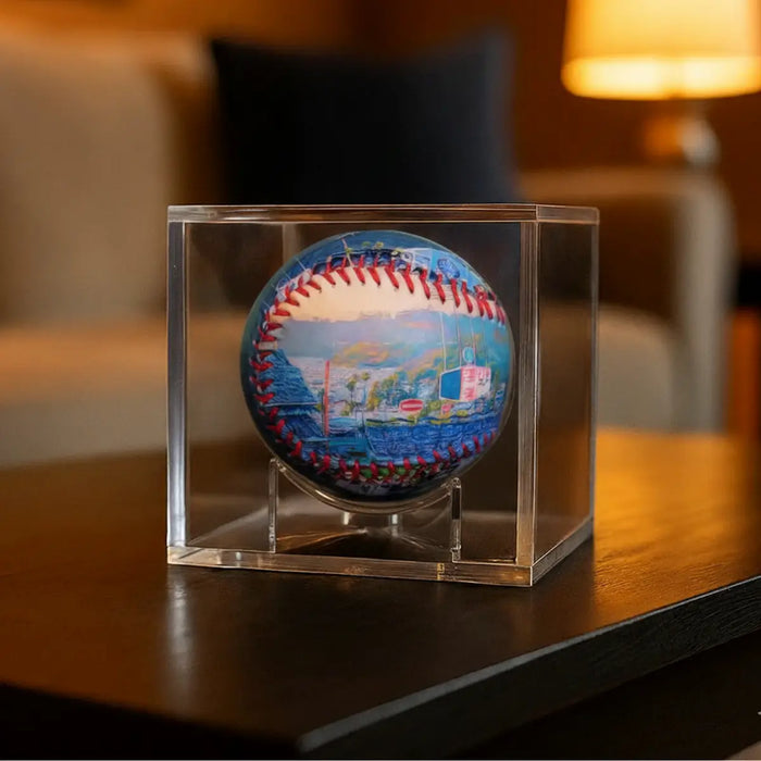 BEST VALUE - Ball + Case - 4 Pack