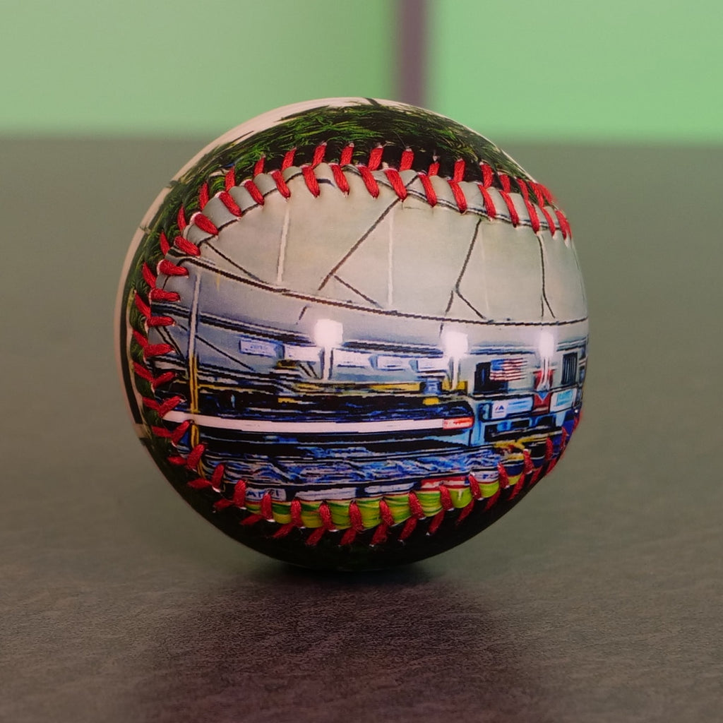 Tropicana Field Collection Baseball Tampa Bay Rays