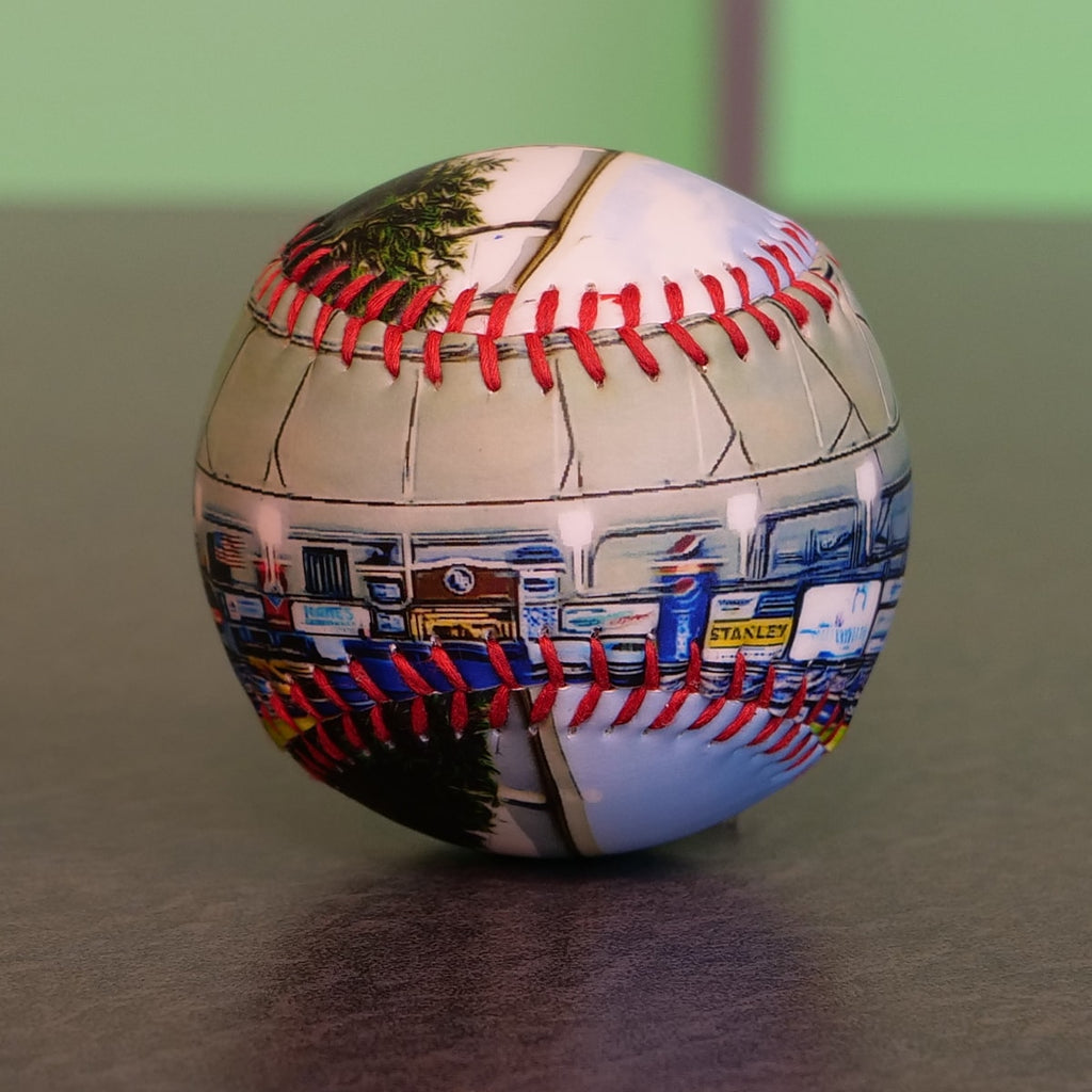 Tropicana Field Collection Baseball Tampa Bay Rays