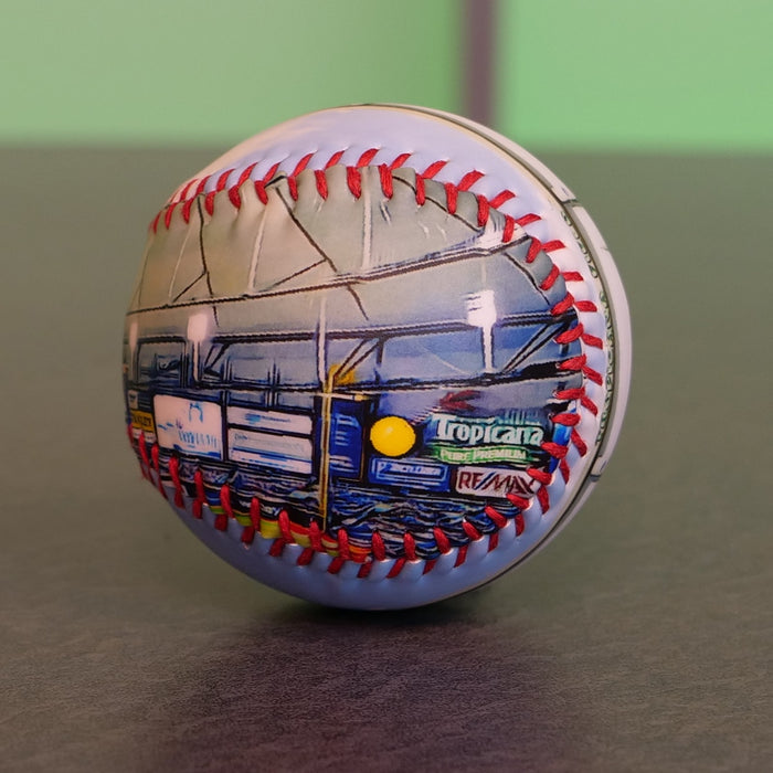Tropicana Field Collection Baseball Tampa Bay Rays