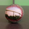 Tropicana Field Collection Baseball Tampa Bay Rays