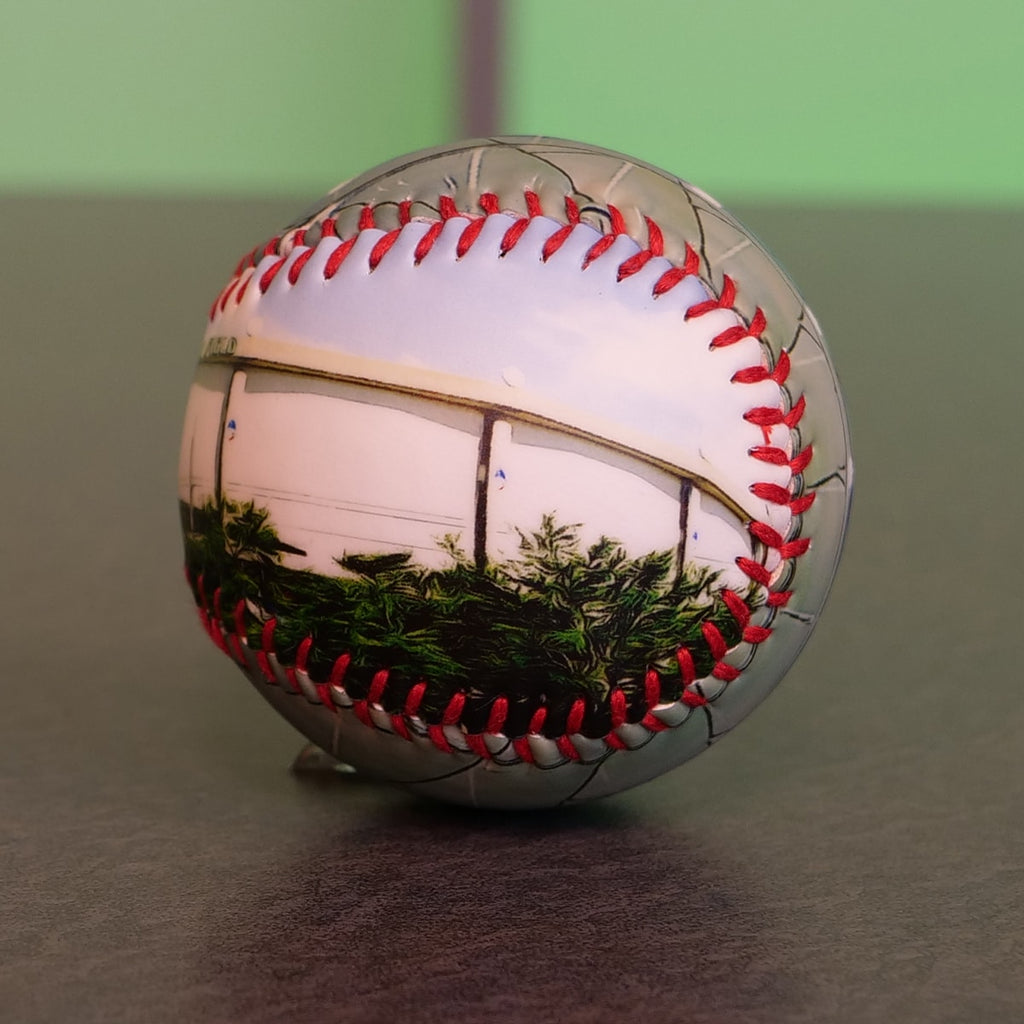 Tropicana Field Collection Baseball Tampa Bay Rays