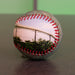 Tropicana Field Collection Baseball Tampa Bay Rays