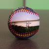Tropicana Field Collection Baseball Tampa Bay Rays
