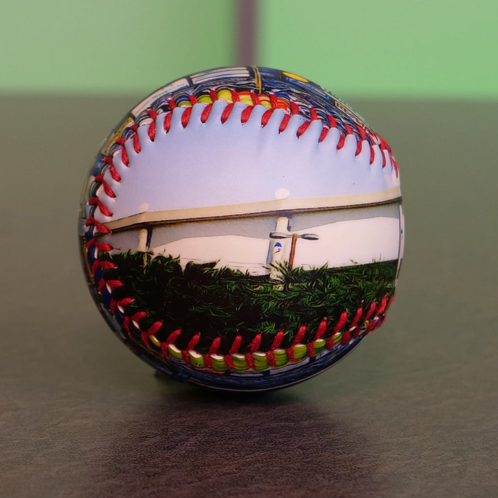 Tropicana Field Collection Baseball Tampa Bay Rays