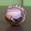 Comerica Park Collection Baseball Detroit Tigers 