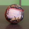 Comerica Park Collection Baseball Detroit Tigers 