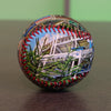 Progressive Field Collection Baseball Cleveland Indians 