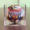 Comerica Park Collection Baseball Detroit Tigers 