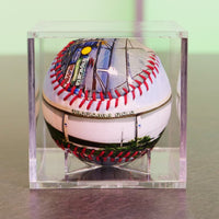 Tropicana Field Collection Baseball Tampa Bay Rays