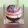 Tropicana Field Collection Baseball Tampa Bay Rays