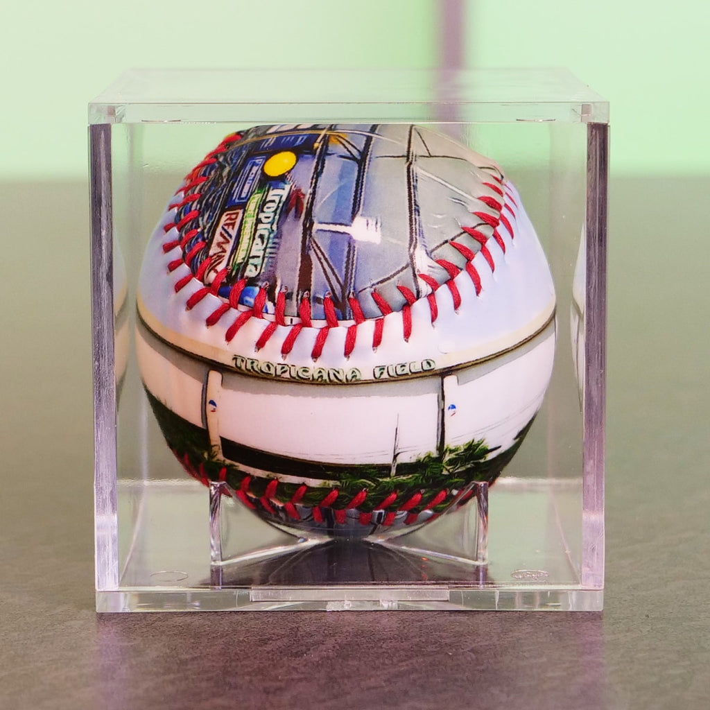 Tropicana Field Collection Baseball Tampa Bay Rays