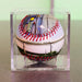 Tropicana Field Collection Baseball Tampa Bay Rays