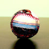 San Francisco Giants Oracle Park Baseball