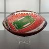 Sanford Stadium Football (Georgia)