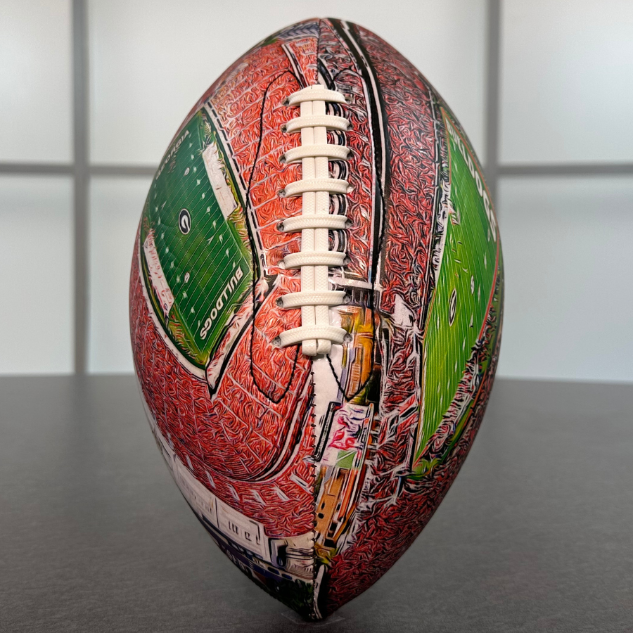 Sanford Stadium Football (Georgia)